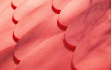 Ellenborough plastic roof costs